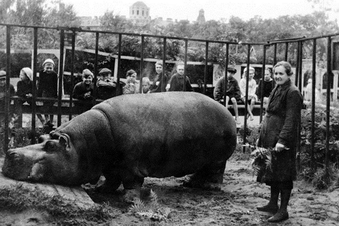 Как они выжили: быт блокадного Ленинграда — фото 3