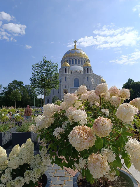 Город воинской славы Кронштадт (в небольшой группе)