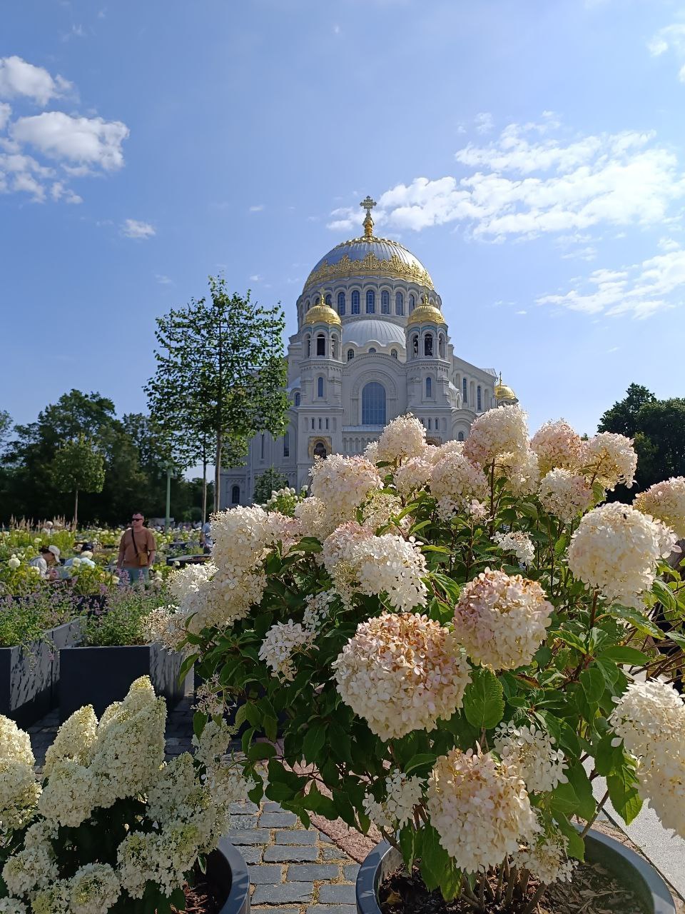Маршрут Санкт-Петербурга