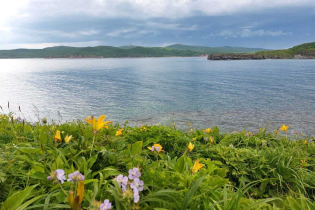 Виды Открывая Русский Остров: Быстрый тур по основным локациям