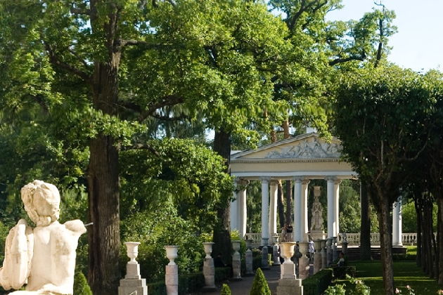 Виды Романтика Павловска