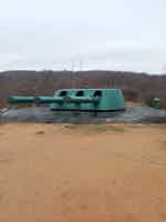 Экскурсия "Тайны острова Русский и Приморский океанариум" - фото отзыва 2