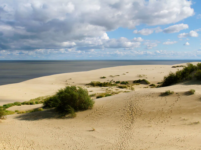Отдых на море в Зеленоградске и экскурсии (4 дня/3 ночи) — фото 5, Зеленоградск | Покатаем