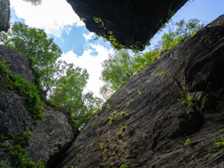 Каменная чаша