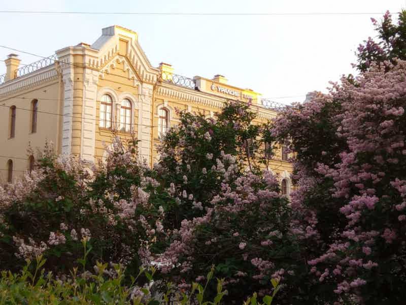 Пленэр на Васильевском острове - фото 6