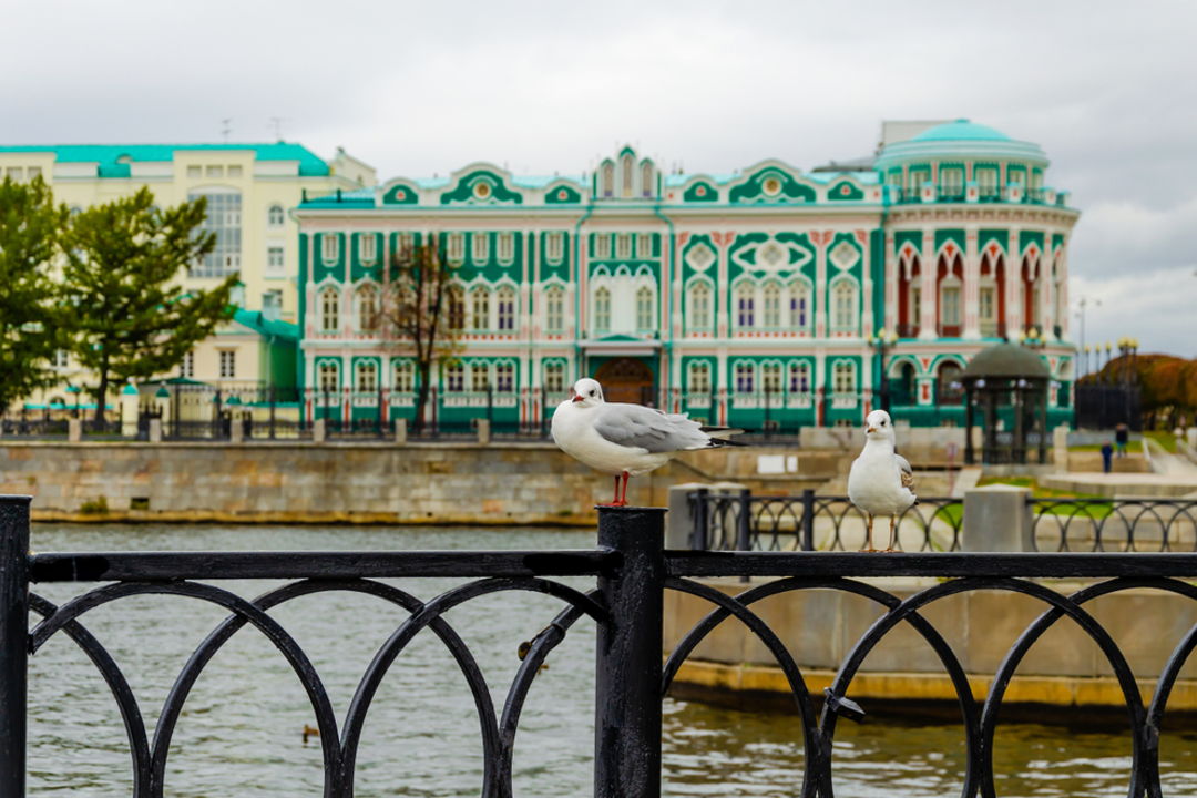 Вдоль реки Исеть: обзорная прогулка по Екатеринбургу  — фото 5