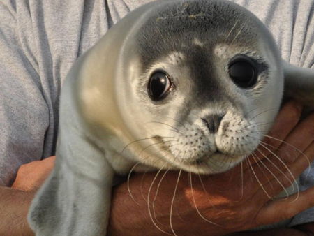 Пляж Зандвоорт