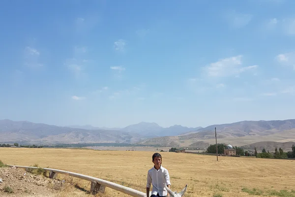 Trip to Uzbek village and Solar Institute. — photo 4, Tashkent | Pokataem