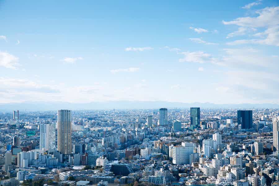 Входной билет на Tokyo City View - фото 1