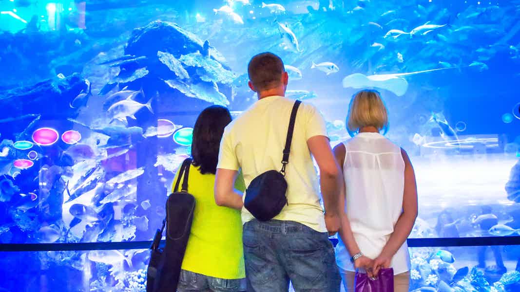 Дубайский аквариум и подводный зоопарк (входной билет) - фото 6