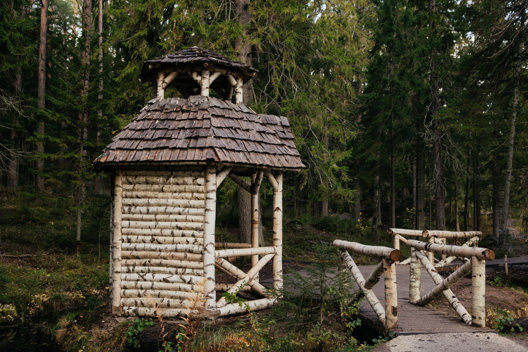 Экскурсия в парк Монрепо + Мастер-класс по выпечке «Выборгского кренделя» — фото 5