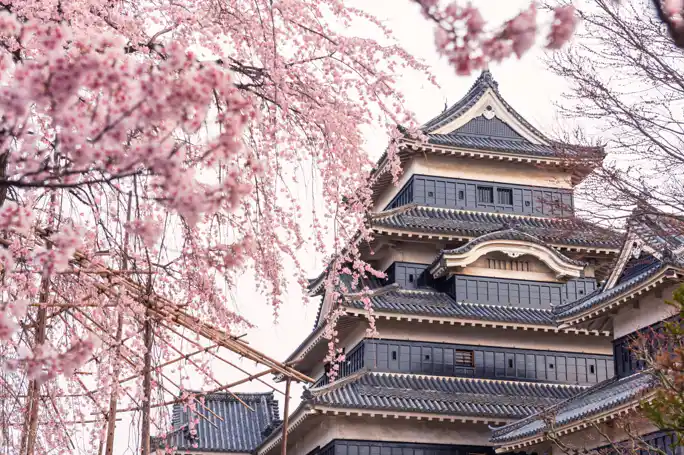 Японские Альпы — индивидуальный автотур в Нагано из Токио