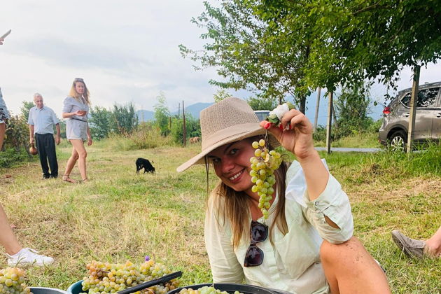 Виды От лозы до тостов: Организованный Ртвели с традиционным застольем