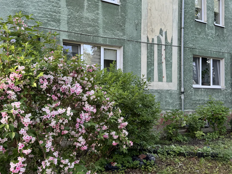 Тайны Амалиенау: частная жизнь за фасадами — фото 5, Калининград | Покатаем