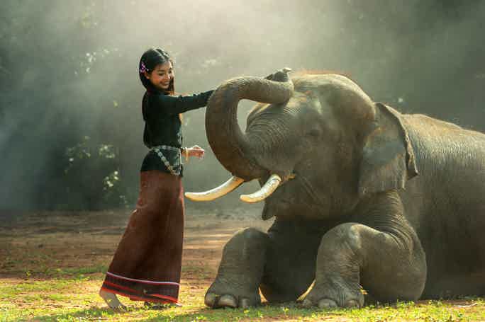 Пхукет: тур по программе спасения и ухода за слонами (гид англоговорящий)