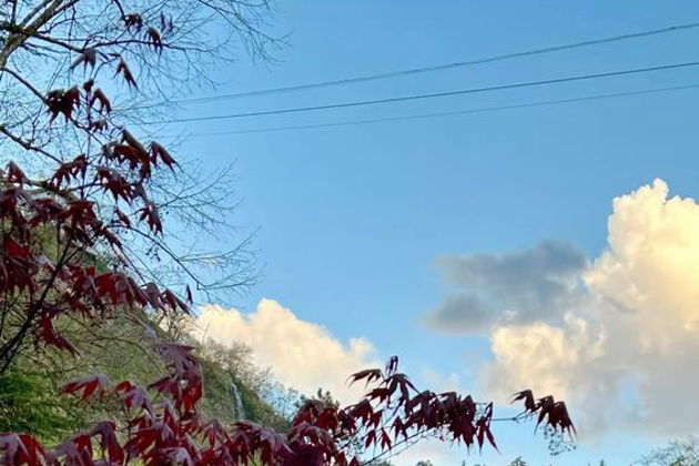 Виды Пещеры XII века: Древняя Вардзия и вечнозеленый Боржоми