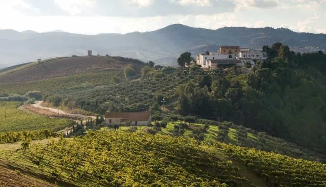 Винные тропинки Сицилии. Экскурсия из Палермо - фото 2