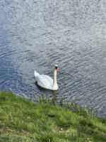 Экскурсия "Экскурсия в Несвижский дворец и Мирский замок" - фото отзыва 2