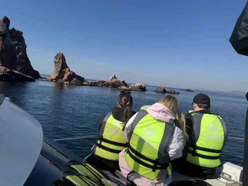 Морское приключение, морские котики и морепродукты во Владивостоке — фото 2, Владивосток | Покатаем