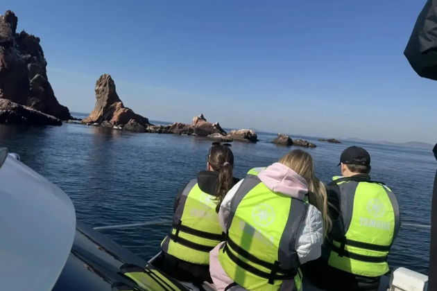 Главное изображение экскурсии - Морское приключение, морские котики и морепродукты во Владивостоке