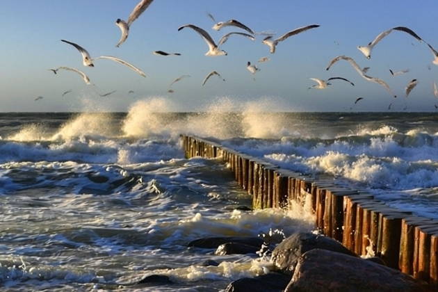 Брызги Балтики: Зеленоградск и Куршская коса