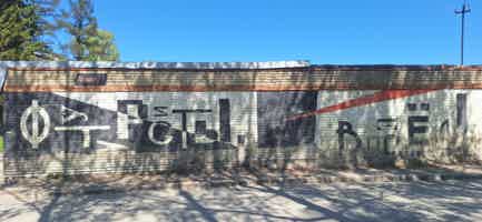 Экскурсия "Новосибирский Академгородок: прогулка по городу-лесу" - фото отзыва 2