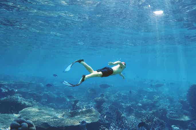 Шарм-эль-Нага — купание в коралловой бухте
