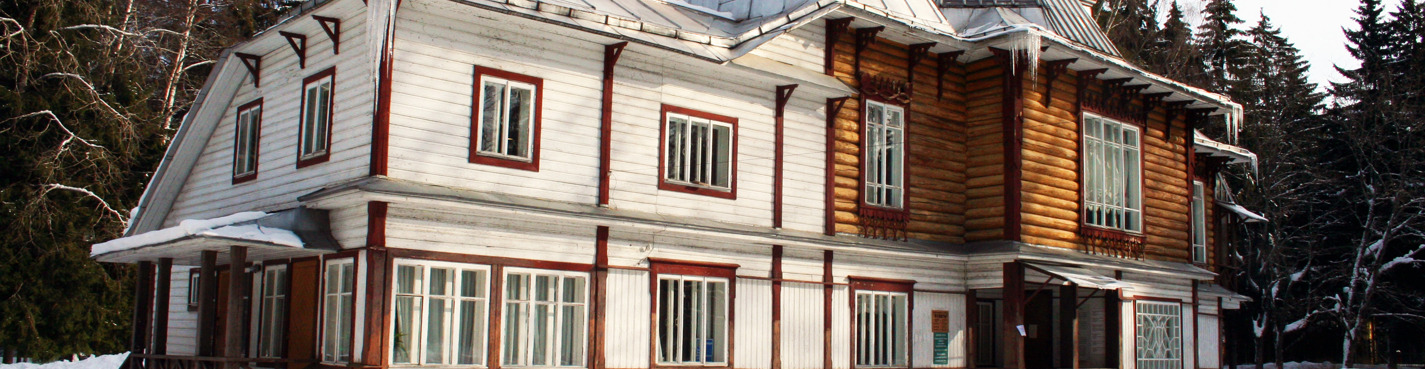 В курортный район Санкт-Петербурга на автомобиле