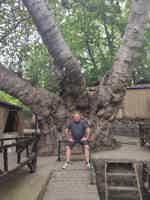 Экскурсия "Путешествие в горы: Амирсой, Чимган и Чарвак с завтраком в мини-группе" - фото отзыва 3