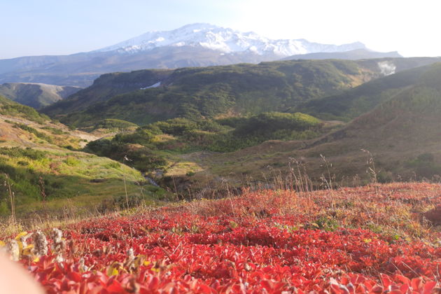 Виды Дачные горячие источники — «Земля Санникова»