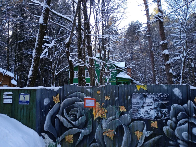 По литературным местам летнего Переделкина — фото 2