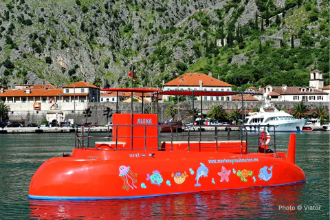 Red Semi-Submarine Tour: Underwater Cabin Family Adventure