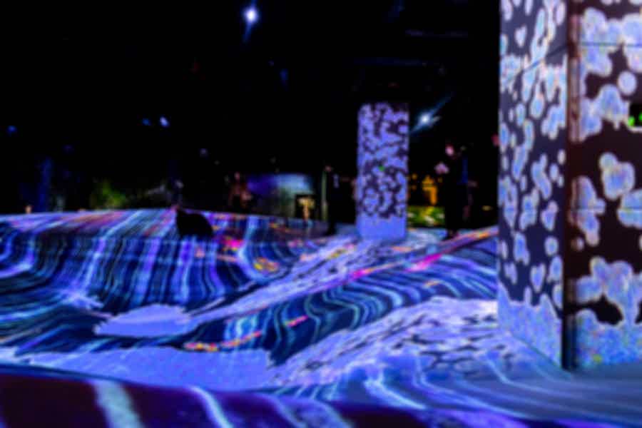Входной билет в Digital Experience Museum без очереди - фото 1