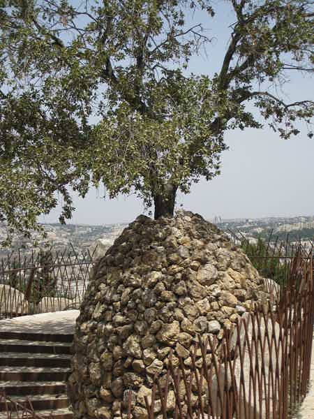 Кибуц в Иерусалиме - фото 2