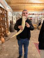 Экскурсия "Винный тур по Кахетии: Алазанская долина, Сигнахи и монастырь Бодбе" - фото отзыва 2