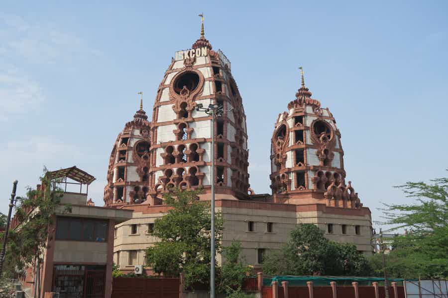 Незабываемые дни в Дели - фото 3