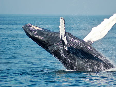 Батарейский водопад
