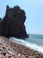 Экскурсия "Морское приключение, морские котики и морепродукты во Владивостоке" - фото отзыва 2