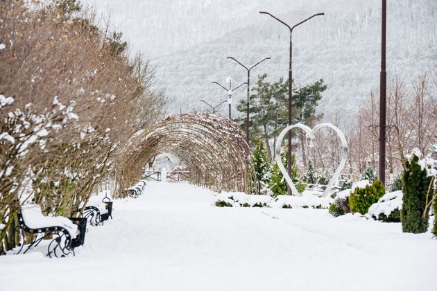 Виды Конное шоу 