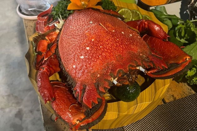 Фукуй: снорклинг, морская рыбалка, островная жизнь!
