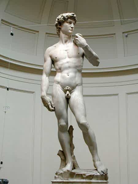 Микеланджело Буонарроти в Галерее искусств Академии - фото 1
