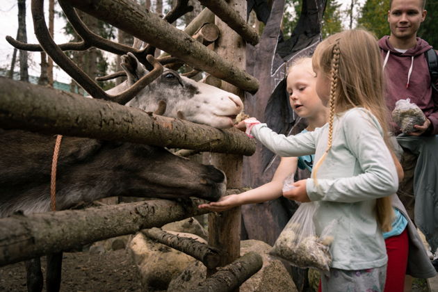 В гости хаски и оленям с обзорной из Петрозаводска
