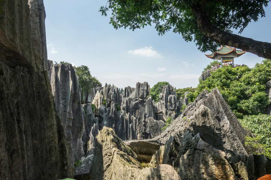 Куньмин и Каменный лес: путешествие в мир каменных легенд - фото 6