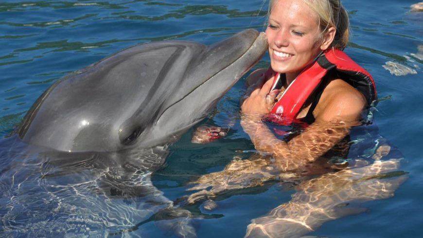 Встреча с дельфинами в Мармарисе