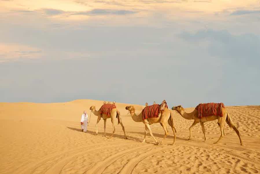 Пустынное сафари в Абу-Даби  - фото 4