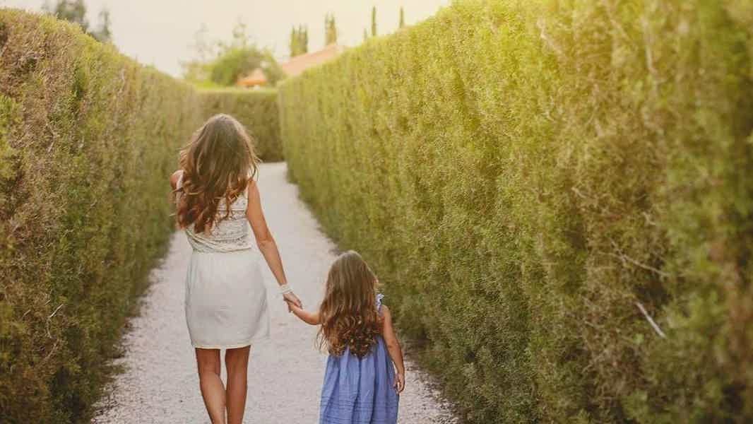 Житие-бытие ослиное - фото 2