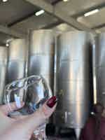 Экскурсия "Красоты Кахетии и Алазанская долина" - фото отзыва 2