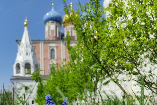 Главное изображение экскурсии - Обзорная экскурсия по Рязани "Загадки старинного города"