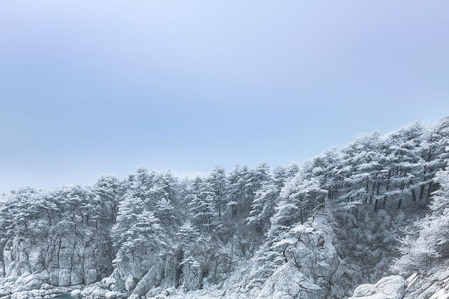 Новогодний тур «Изумрудный полуостров ‌Гамова»