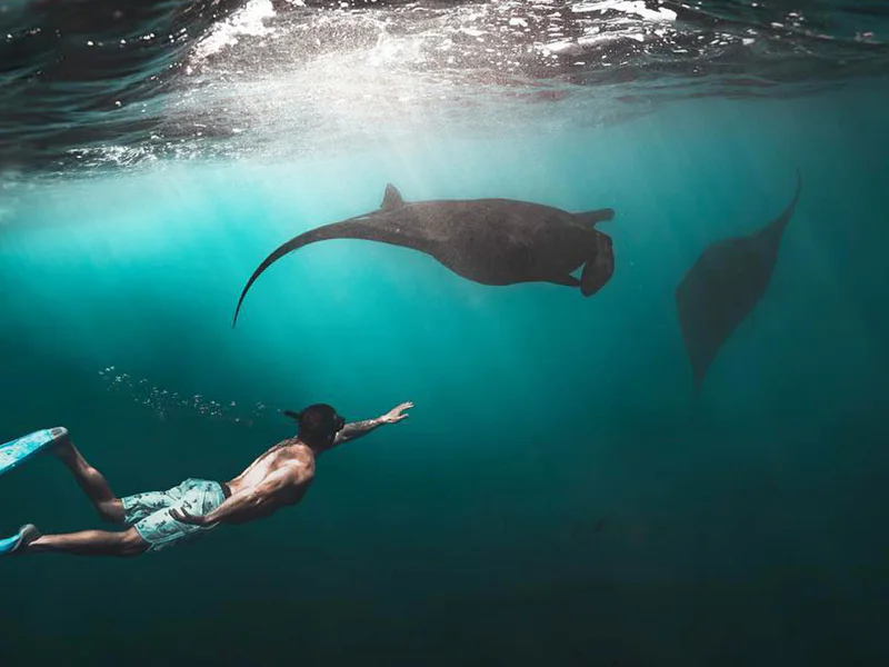 Снорклинг с Manta Ray — фото 5, Бали | Покатаем